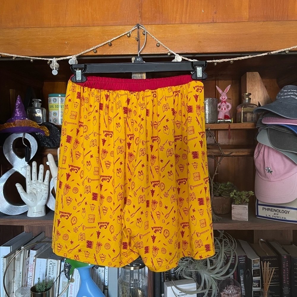 Nickelodeon Salute Your Shorts Camp Anawanna gym shorts sz one size - Picture 3 of 5